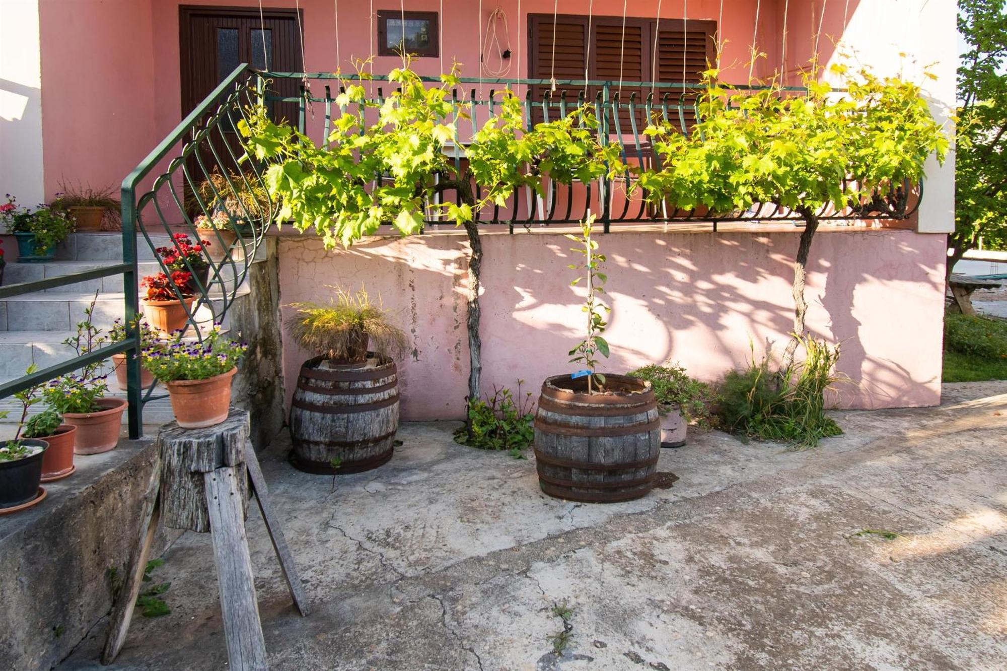 Apartments Green Garden Vodice Eksteriør bilde